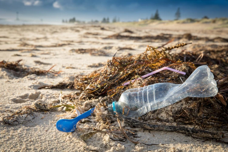 沙灘上的塑膠廢棄物
